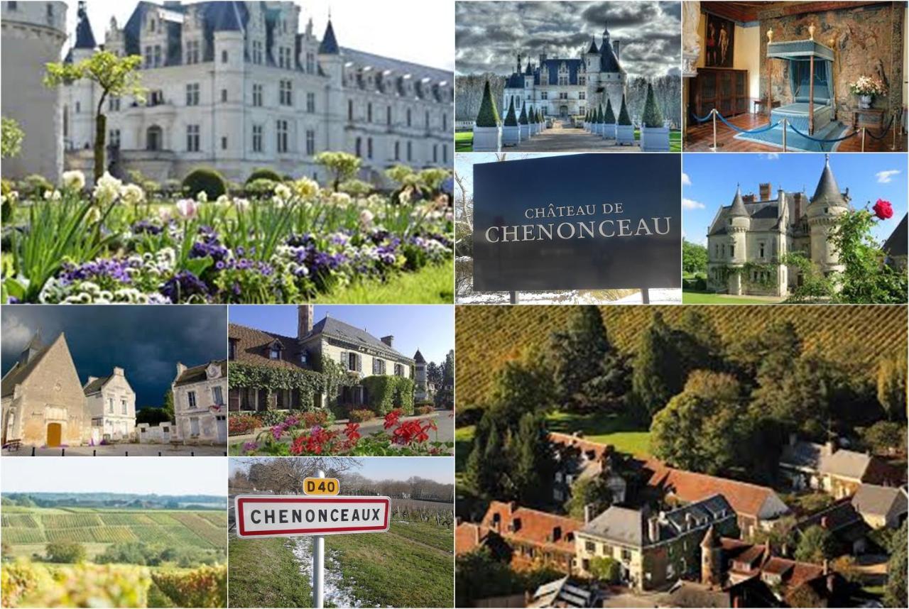Le Roi Coq Bed & Breakfast Chenonceaux Exterior photo